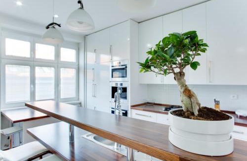 Vysehrad Apartamento | Royal Apartment near river - Nek4th