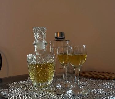 Petrovaradin Apartamento | Royal castle Fruška gora