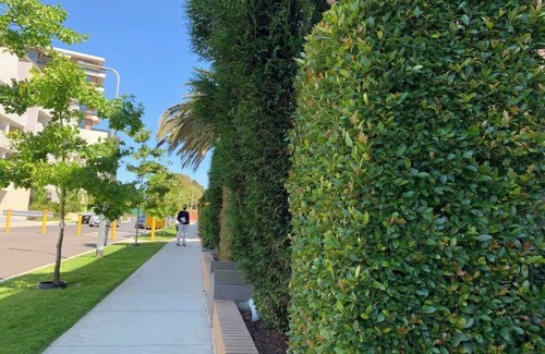 Caulfield North Apartamento | Royal Executive Living - Garden Executive Home