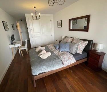 Stare Podgorze Apartamento | Royal Oak - 3BD 2BA apartment with parking and river view