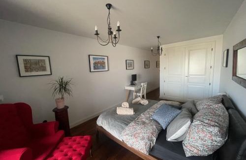 Stare Podgorze Apartamento | Royal Oak - 3BD 2BA apartment with parking and river view