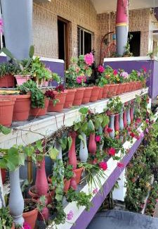 Stuart Hill Casa | Royal Palm Homestay