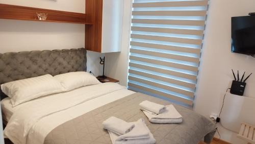 Central Serbia Villa | Royal Vila Bozovic - G5 i G6