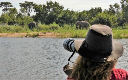Vaalwater Cabina | Royal Morubisi Founder's Lodge