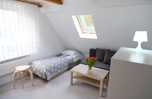 Chlopy Casa | Roza Wiatrow