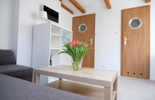 Chlopy Casa | Roza Wiatrow