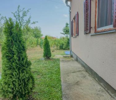 Petrovaradin Casa | Vila Nera