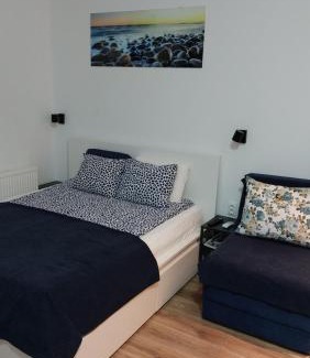 Banja Koviljaca Apartamento | RUŽICA