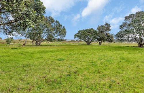 Ruakaka Casa | Ruakaka Coastal Reserve Retreat