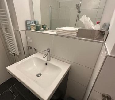 Wiesbaden Apartamento | Ruhige Stadtperle mit Garten