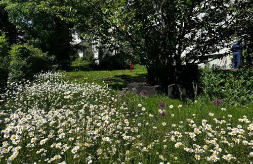 Zollikofen Apartamento | Ruhiger Vorort Bern kostenloses Parken 6km Zentrum