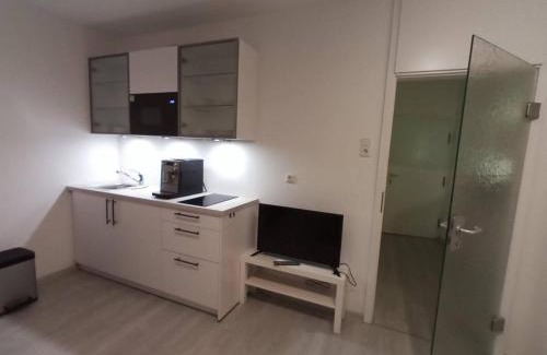 Mitte Apartamento | Ruhiges Appartment am Stadtpark