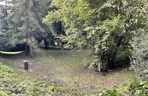 Kaiserpfalz Casa | Ruhiges Häuschen am Wald mit Kamin, Terrasse