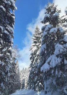 Zlatibor Casa | Rujan 1