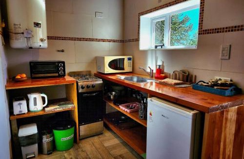 Moquehue Apartamento | Ruka Moquehue