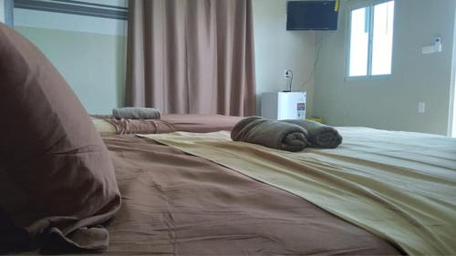 Zanderij Cama Y Desayuno | Rumanija's Airport Rooms