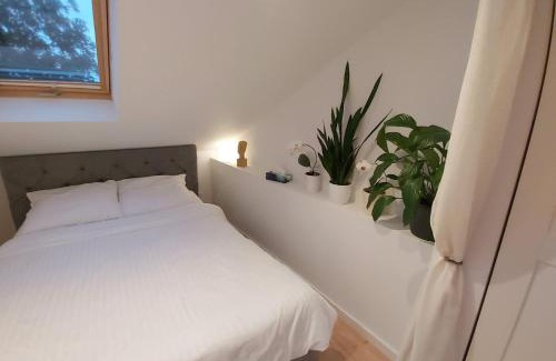 Rumia Apartamento | Rumia Cichy Zaułek 5
