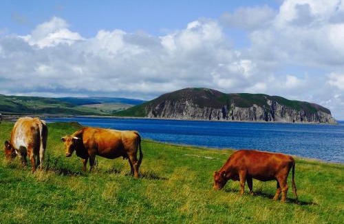 Campbeltown Casa | Rural Farmhouse on Kintyre, West Coast hidden gem
