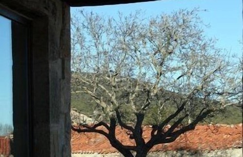 Briongos Cabaña | OFERTAS: CASA RURAL 5 CELEMINES NORTE