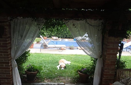 Foiano della Chiana Cabaña | Casa Rural en el corazón de TOSCANA