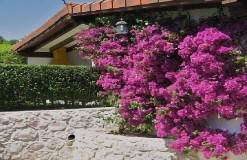 Lamadrid Cabaña | CASA RURAL LA HUERTA
