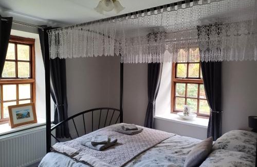 Cenarth Apartamento | Rural retreat - Godremamog Mill