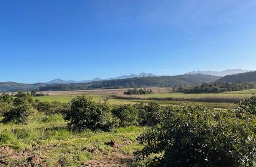 Knysna Chalet De Esquí | Rushmere Cottage