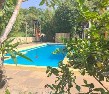 Arambol Complejo | Rusta wellness and retreat center