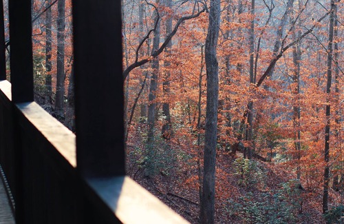 Dahlonega Cabina | Rustic Appalachian cabin, 6+ acres, creek, 5 min from Dahlonega & wineries