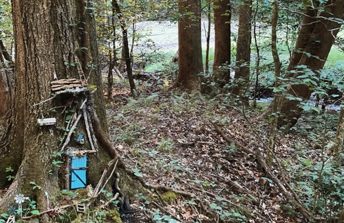 Dahlonega Cabina | Rustic Appalachian cabin, 6+ acres, creek, 5 min from Dahlonega & wineries