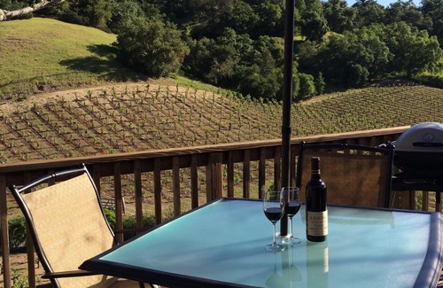 Healdsburg Cabina | ✨ Cabaña rústica en Dry Creek Valley con hermosas vistas / 5 millas a la Plaza ✨