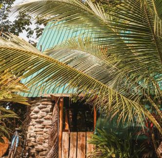 Pavones Apartamento | Rustic Cabin in Pavones surf brake