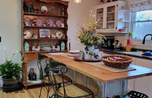 Austinville Otro | Rustic farmhouse w/firepit