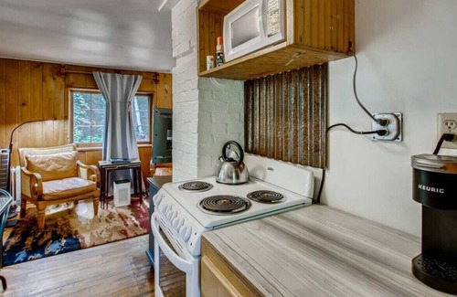 Idaho Springs Cabina | RUSTIC FUNK WATERFRONT Pet Friendly CABIN
