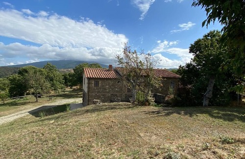 Arcidosso Casa | Rústico rodeado de un centenario bosque de castaños