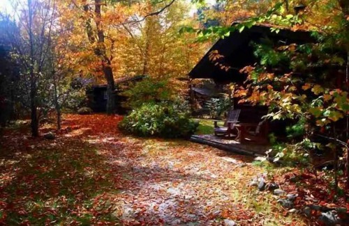 Lisbon Cabina | Rustic Log Cabin #1 - "Rustic Retreat"