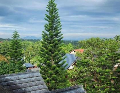 Tagaytay Casa | Rustic Log Cabin in Tagaytay