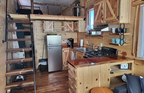 Hot Springs Cabina | Rustic Nest Tiny House