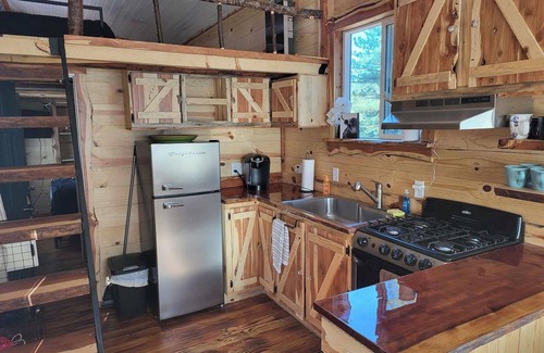 Hot Springs Cabina | Rustic Nest Tiny House