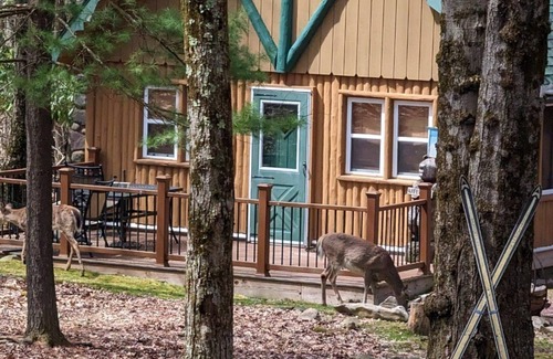 Lake Harmony Estates Cabina | Rustic Pocono Mountain Chalet