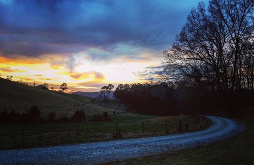 Speedwell Casa | Rustic Retreat Space on Farm Setting 10 Minutes from LMU