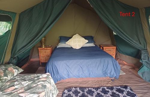 Wynberg Otro | Rustic Unique - Bush Glamping Retreat