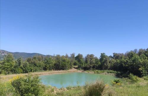 Massa Marittima Apartamento | Rustico in un parco di lecci