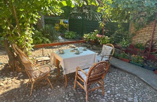 Soko Banja Apartamento | Rustik