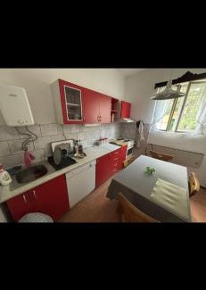 Soko Banja Apartamento | Rustik