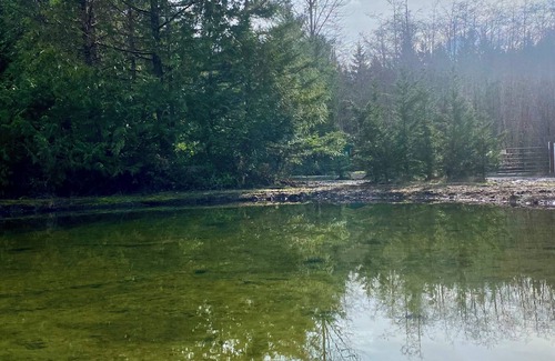 Seabeck Alquiler De RV | RV Spaces with hookups, 5 private country acres, 20 min to town, Family friendly
