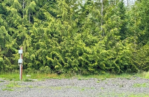 Seabeck Alquiler De RV | RV Spaces with hookups, 5 private country acres, 20 min to town, Family friendly