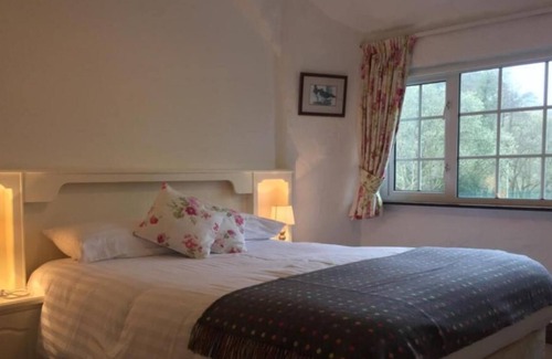 Cong Cama Y Desayuno | Ryan's River Lodge B&B