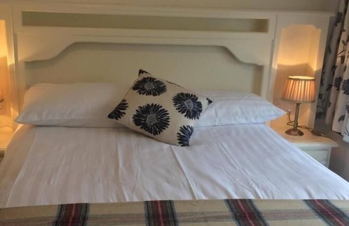 Cong Cama Y Desayuno | Ryan's River Lodge B&B