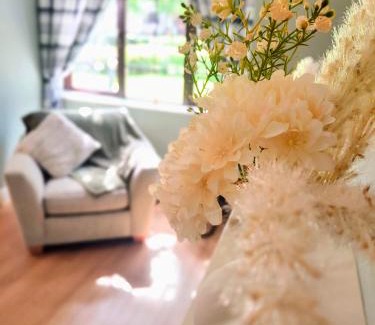 Mohill Casa | Rynn Haven - Enchanting Townhouse Lough Rynn
